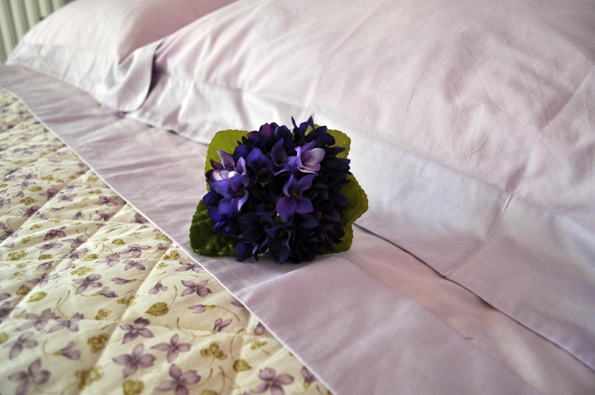 Cantagrillo Olivia B&B And Apartment الغرفة الصورة